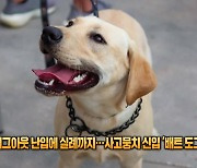 더그아웃 난입에 실례까지…사고뭉치 신입 ‘배트 도그’ [잇슈 SNS]