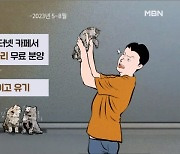 고양이 21마리 죽인 20대 "갭투자 실패 스트레스 받아서" [프레스룸 LIVE]