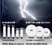 서학개미 피곤해서 못해먹겠네…야밤에 덮친 침체 공포에 계좌잔고 우수수