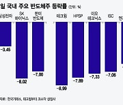 엔비디아 HBM 납품 호재도 '삭제'… 반도체주 동반 폭락