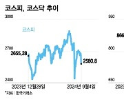 코스피 한 달만에 2600선 붕괴…"반도체주 휘청, 급반등 어려워"