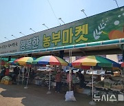 의왕시, 추석맞이 농산물 직거래장터 개장