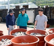 통영시, 고수온 피해 어업인 재난지원금 추석 전 지급