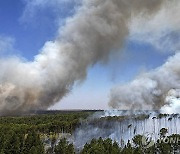 Brazil Wildfires