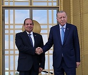 TURKEY EGYPT DIPLOMACY