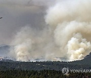 Wildfire-South Dakota