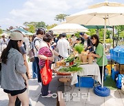 "국립극장, 9~10월 매주 토요일 '시장'으로 변신합니다"