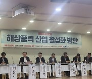 "해상풍력 국내 기업 공급망 확대위해 정부 개입해야"