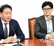 국민의힘 찾은 최태원