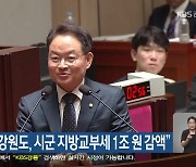 허영 “2년간 강원도, 시군 지방교부세 1조 원 감액”