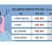 2차전지 소재주 급락…개미 불안한 '줍줍'