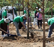 청주 산업단지 '허파' 도심숲 조성사업…뉴시스 직원들도 '구슬땀'