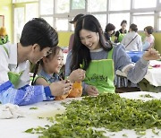 오감만족 ‘보성 국가중요농어업유산축제’ 6일 개막···매일 금 1돈 증정