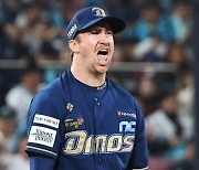 KBO 출신 외국인 희비…플렉센 MLB ‘최다 패’ 오명, 라이블리·페디는 안정감