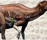 [사이테크+] 공룡 콜라겐이 분해되지 않고 화석이 될 수 있었던 이유는?
