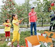 한우·사과·토마토·오미자…장수군 '레드푸드 축제' 개막