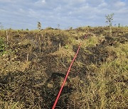 충남 천안 수신면 야산서 산불…35분 만에 진화