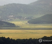 가을의 북녘