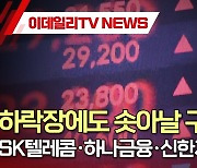 하락장에도 솟아날 구멍은?...SK텔레콤·하나금융·신한지주