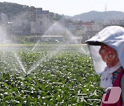 [오늘의 날씨] 광주·전남(6일, 금)…33도 늦더위, 최대 40㎜ 소나기