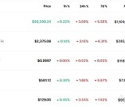 '경기 둔화 우려' 비트코인 3%↓ 5만6000달러 붕괴