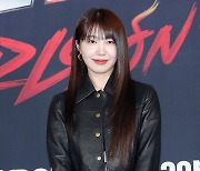 "집사로 받아줘" 에이핑크 정은지 스토킹한 50대, 2심도 징역형