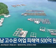 경남 고수온 어업 피해액 500억 원 넘겨