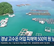 경남 고수온 어업 피해액 500억 원 넘겨