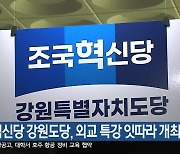 조국혁신당 강원도당, 외교 특강 잇따라 개최