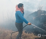 Ecuador Forest Fires