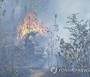 Ecuador Forest Fires