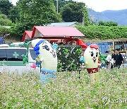 "더 맛나요 횡성더덕, 다 함께 즐겨요 청일에서"