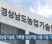 경남농업기술원, 가루쌀·앉은키밀 사용 가공 기술 교육