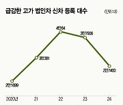 회삿돈으로 끌던 포르쉐 ‘싹 사라졌네’ [데이터로 보는 세상]