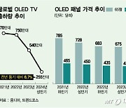 오매불망 OLED, 드디어 뛴다…中에 골머리 앓던 삼성·LG '화색'