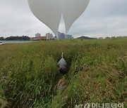 한 달 뜸하더니 '도발' 폭주…북한, 나흘 연속 '쓰레기풍선' 살포