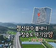 [풍경여지도] 청산유수 뽐내니 장승도 의기양양 - 충남 청양