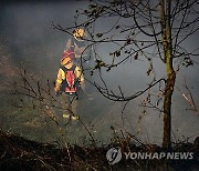 ECUADOR FIRES