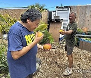 Hawaii Wildfire Landfill Fight