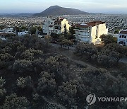 Greece Wildfire Damage Photo Gallery