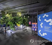 아세안 파빌리온 2024