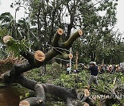 China Asia Typhoon