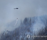 Germany Wildfire