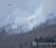 Germany Wildfire