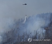 Germany Wildfire