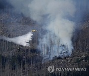 Germany Wildfire