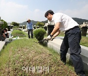 [포토]잡초 제거하는 성묘객