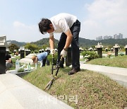 [포토]추석 연휴 일주일 앞두고 묘에 난 잡초 제거