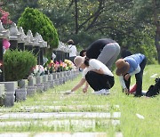 [포토]추석 연휴 일주일 앞두고 잡초 제거