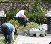 [포토]추석 앞두고 묘 잡초 제거